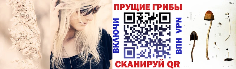 Псилоцибиновые грибы Magic Shrooms Покров